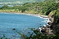 AP1010435