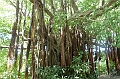 AP1010452