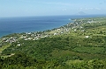 AP1010461
