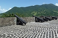 AP1010463