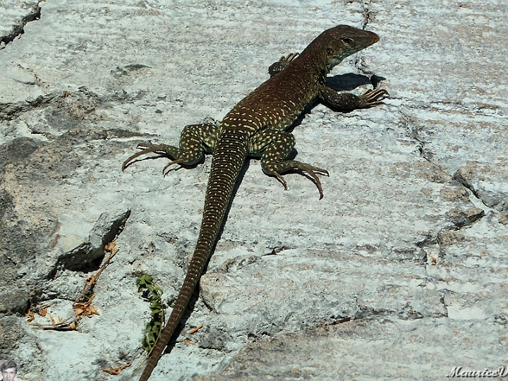 AP1010545.jpg