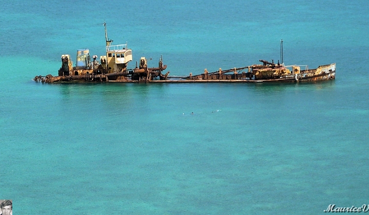 AP1010551.jpg