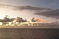 AP1010516