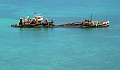 AP1010551