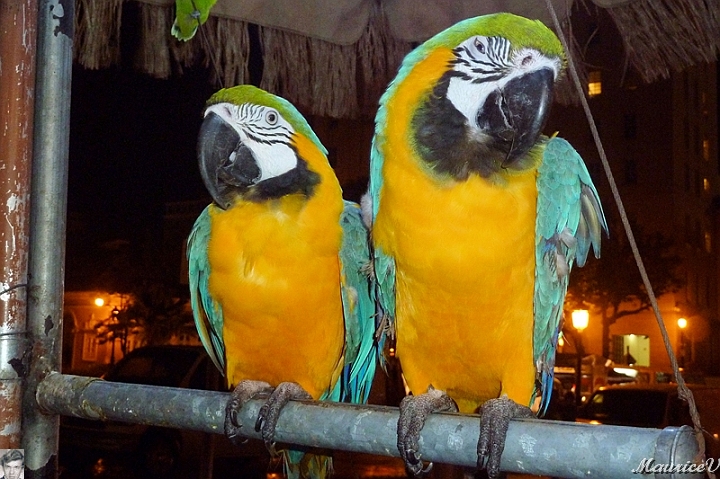 AP1010609.jpg
