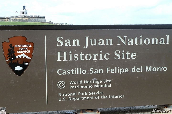 AP1010627.jpg