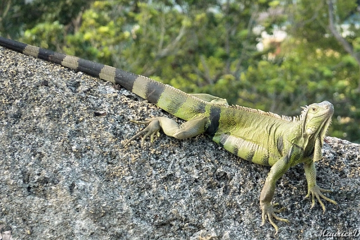 AP1010658.jpg
