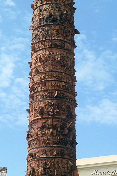 AP1010674.jpg