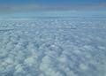 AP1010703