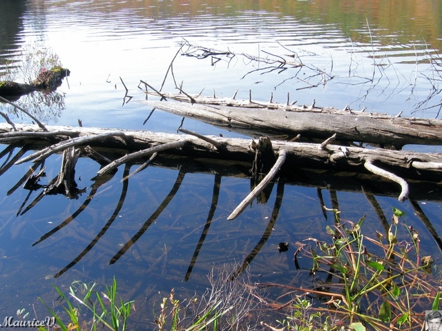 20091002-LacLarouche-536.jpg