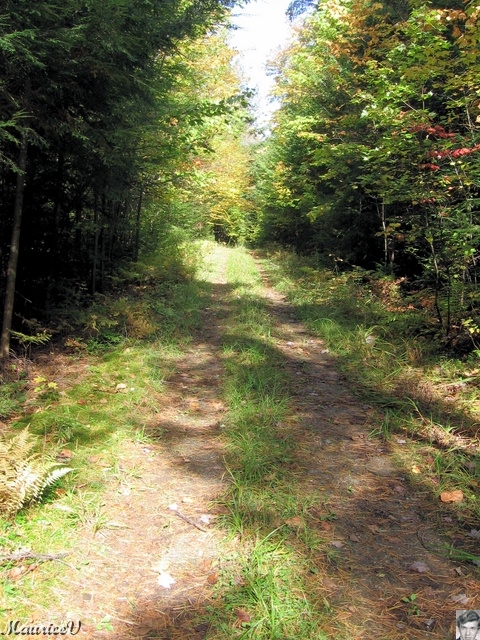 20091002-LacLarouche-540.jpg