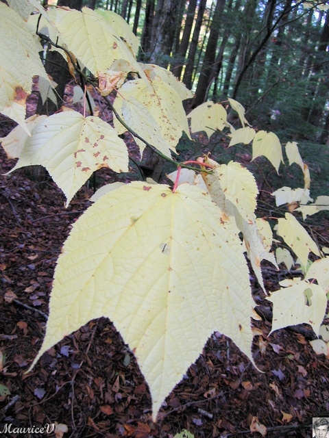 20091002-LacLarouche-551.jpg