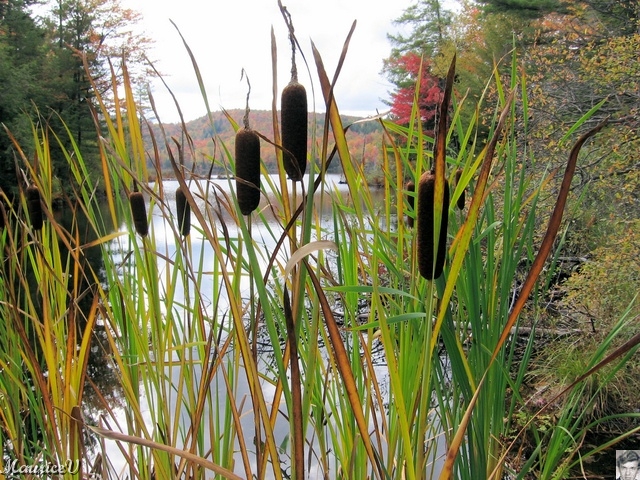 20091002-LacLarouche-554.jpg