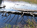20091002-LacLarouche-536