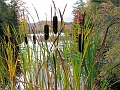20091002-LacLarouche-554
