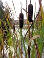 20091002-LacLarouche-555