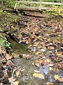 20091002-LacLarouche-567