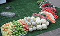 201006-Lyon-1145