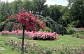 201006-Lyon-1771