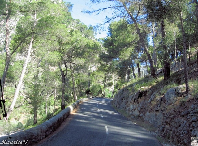Majorque-30.jpg