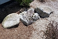 A1070982