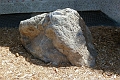 A1070988