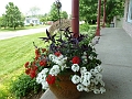 Pot_Annuelles-2
