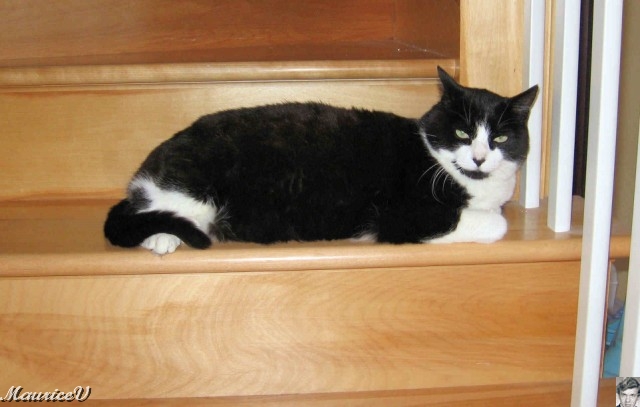 sara-20081005-09.jpg