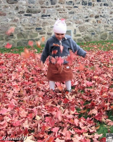 sara-20081005-47.jpg