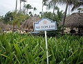 puntacana-071