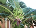 puntacana-293