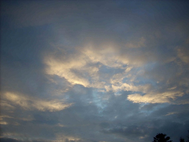 woodstock-2009-78.jpg