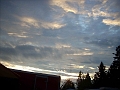 woodstock-2009-77