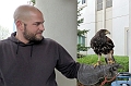 20110517-562-Aigle