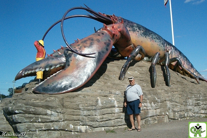 Réjean_Homard-Shediac.jpg - Arrêt à Shediac :  Réjean a eu un grand creux ce soir-là avec beaucoup de beurre à l'ail