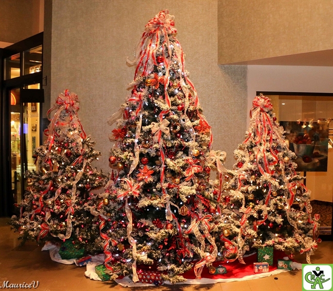 201312-Sapins-Delta.jpg - Au Delta de Sherbrooke le 15 décembre 2013