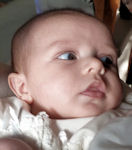 Alice 201110