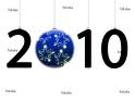 2010 Bleu