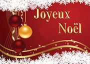 Joyeux-6